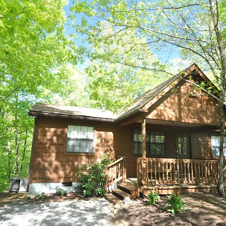 Adalynn'S Mountain Retreat-Hot Tub, 1089 Of Free Tickets For Each Paid Day, Dollywood And More! Pigeon Forge Ngoại thất bức ảnh